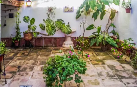 Maison 14 personnes à Pizarra - Photo 17