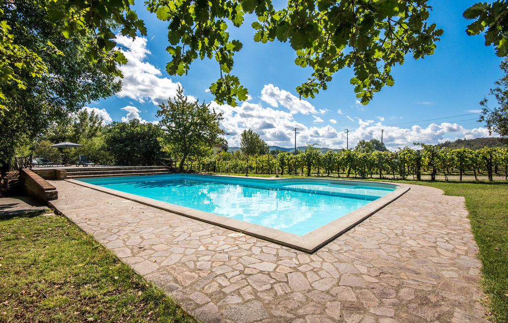 Appartement Capannole en vignoble toscan, piscine - Photo 6