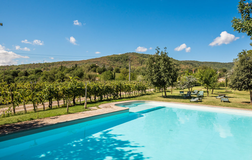 Appartement Capannole en vignoble toscan, piscine - Photo 8