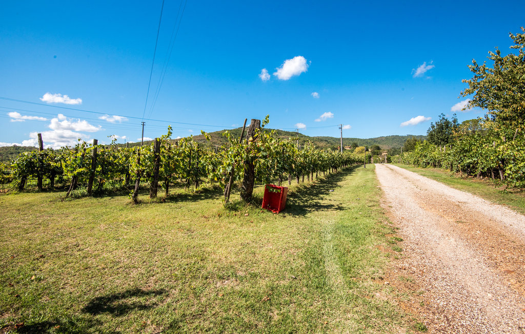 Appartement Capannole en vignoble toscan, piscine - Photo 21
