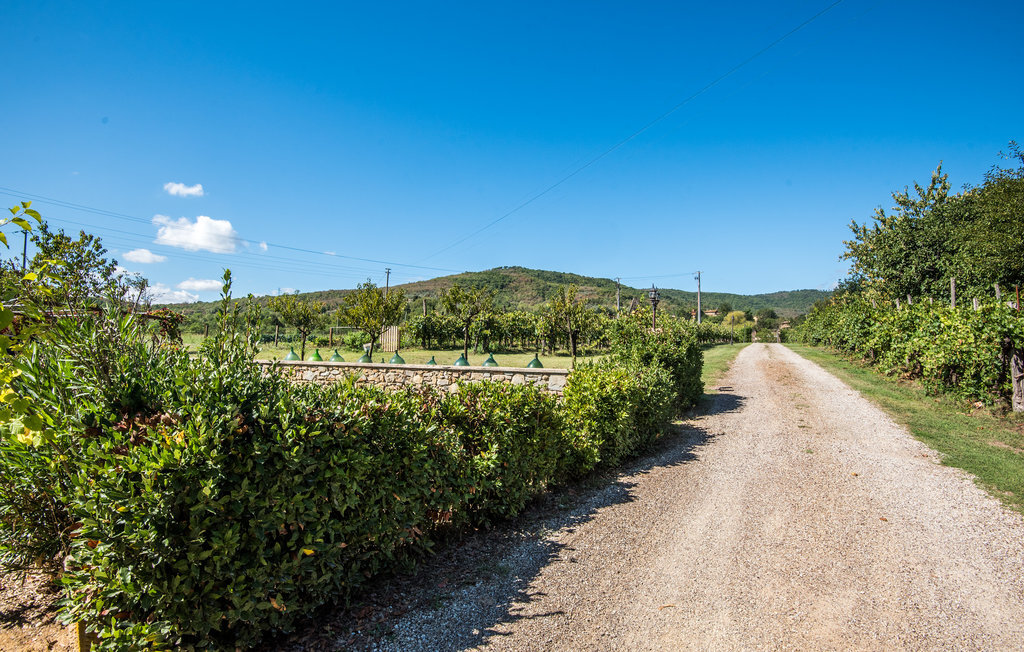 Appartement Capannole en vignoble toscan, piscine - Photo 23