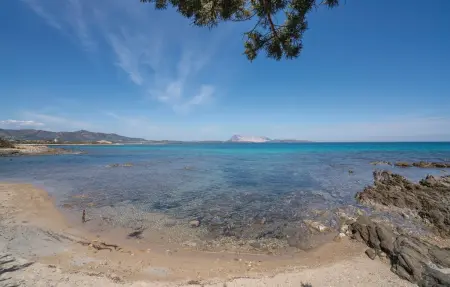 Villino Mito – Appartement 3 ch vue mer, 700 m plage : photo 25