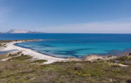 Villino Mito – Appartement 3 ch vue mer, 700 m plage : photo 26