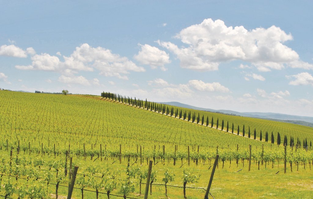 Poggio agli ulivi – Maison en pierre du Chianti - Photo 8