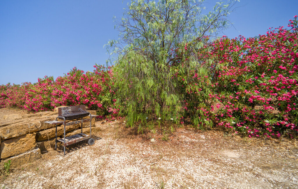 Baglio Mediterraneo – Maison 6 pers. à 300 m de la plage - Photo 43