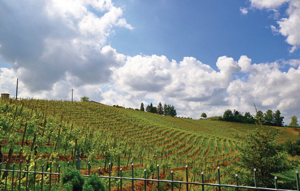 Maison XIXe siècle aux Langhe, 9 pers., jardin et jeux - Photo 33