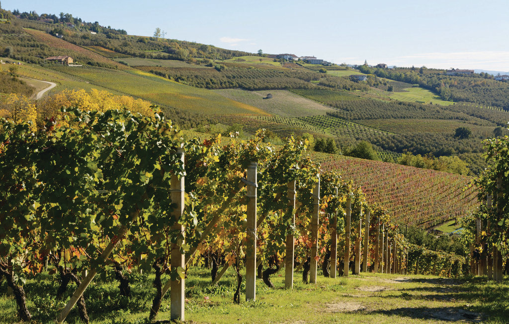 Maison XIXe siècle aux Langhe, 9 pers., jardin et jeux - Photo 34