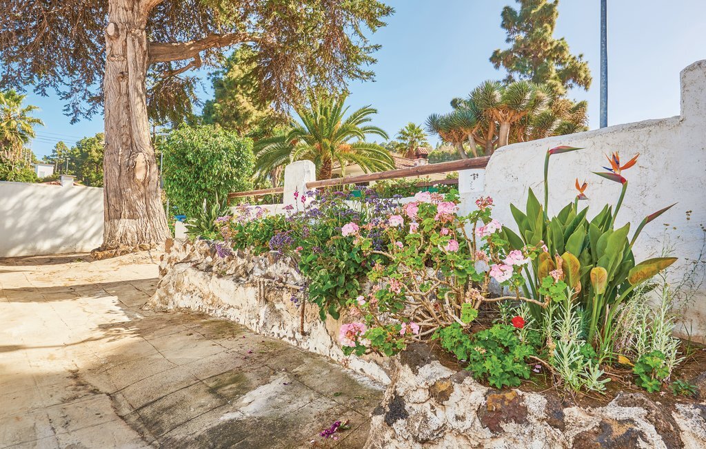 Casa Los Pinos, Maison 4 personnes à Icod De Los Vinos - Photo 9