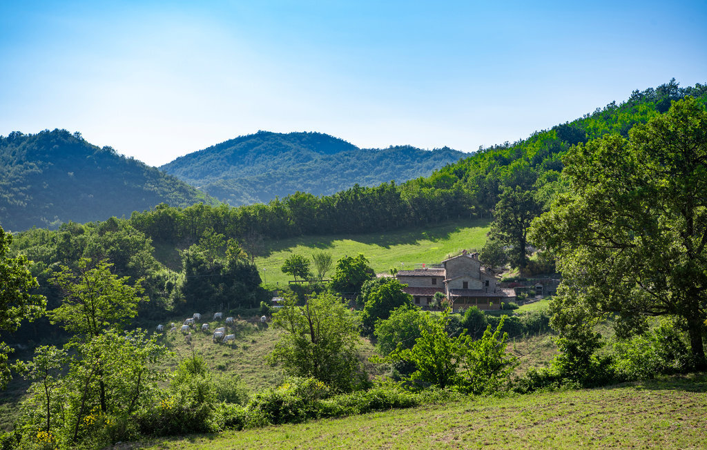 Appartamento Suite, ferme bio avec piscine à Mercatello - Photo 8