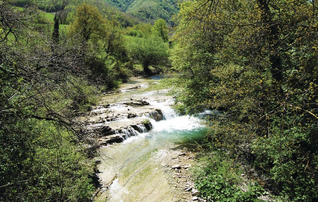 Appartamento Suite, ferme bio avec piscine à Mercatello - Photo 18