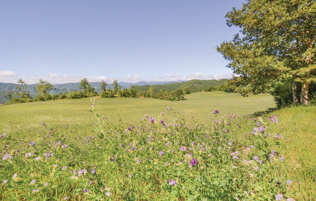 Appartamento Suite, ferme bio avec piscine à Mercatello - Photo 20