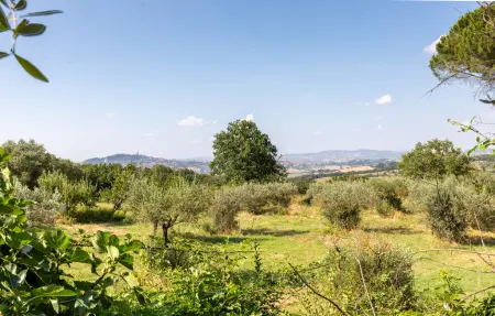 Alabarda, maison de pierre avec vue sur la vallée : photo 29