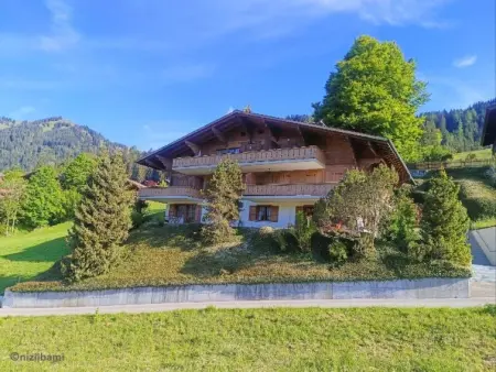 Location appartement de vacances à Saanen