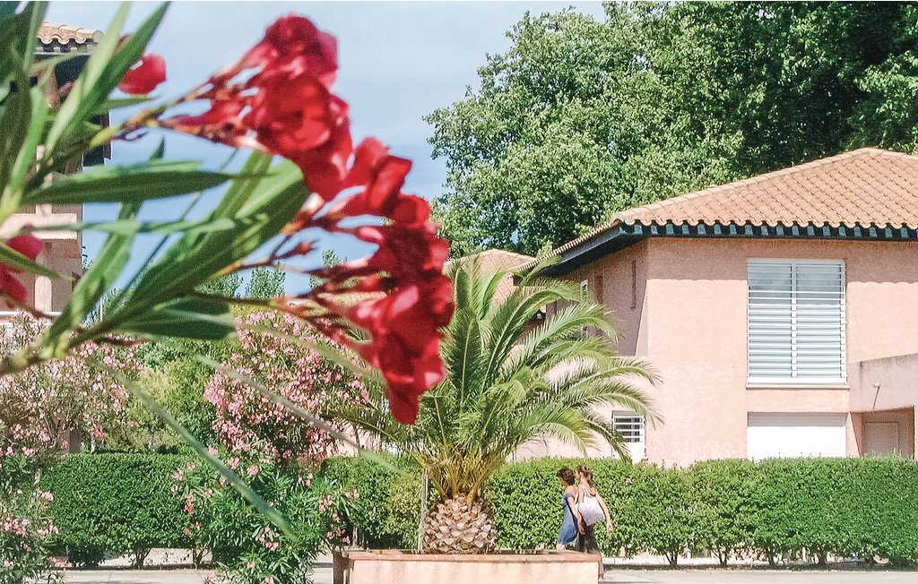 Les Pierres de Jade, appartement 6 pers. St. Cyprien - Photo 9