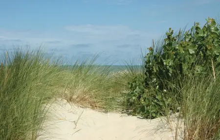Appartement Goudstrand, plain-pied à 150 m de la plage à Koksijde : photo 15