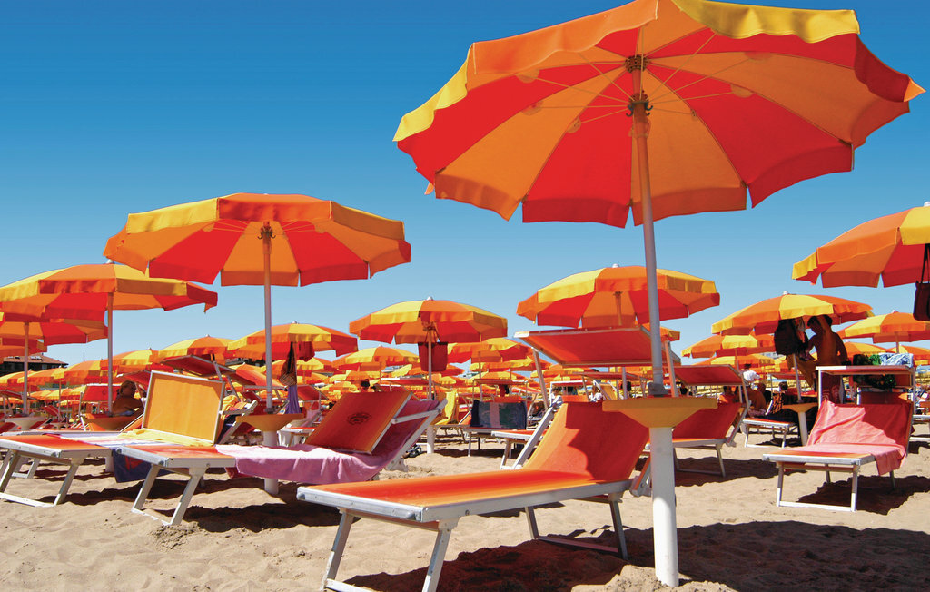 Sughereto 2 – Maison Toscane entre oliviers et plages - Photo 17
