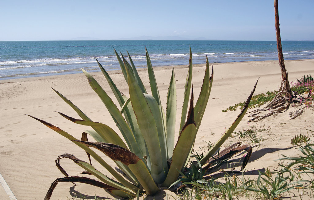 Sughereto 2 – Maison Toscane entre oliviers et plages - Photo 19