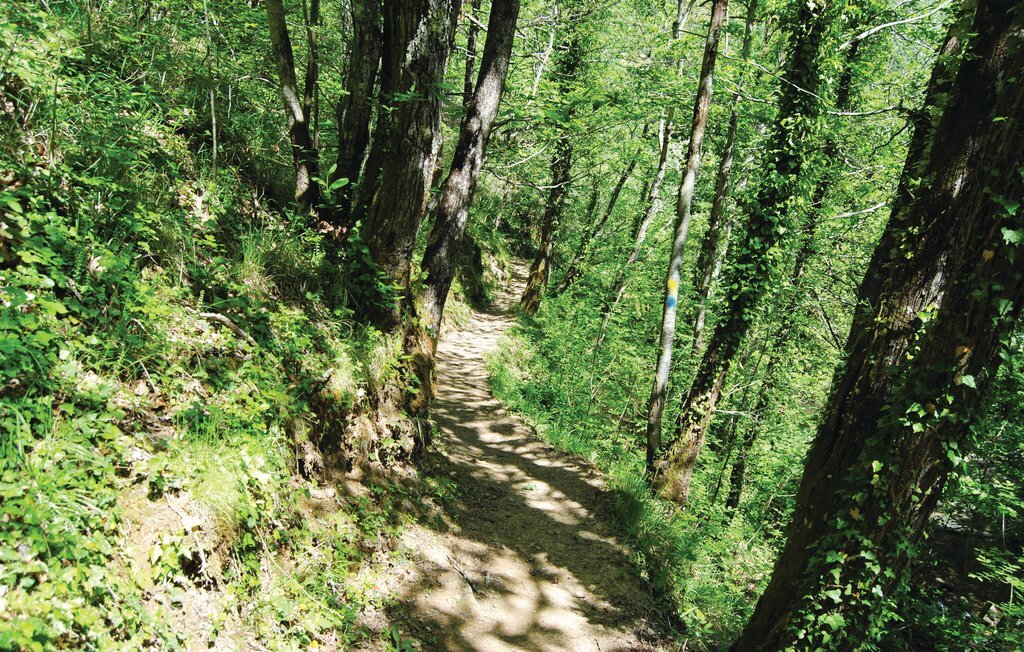 Il Casale del Mulino, appartement dans un ancien moulin - Photo 20