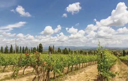 La Quiete, Maison 8 personnes à Pratovecchio AR - Photo 29