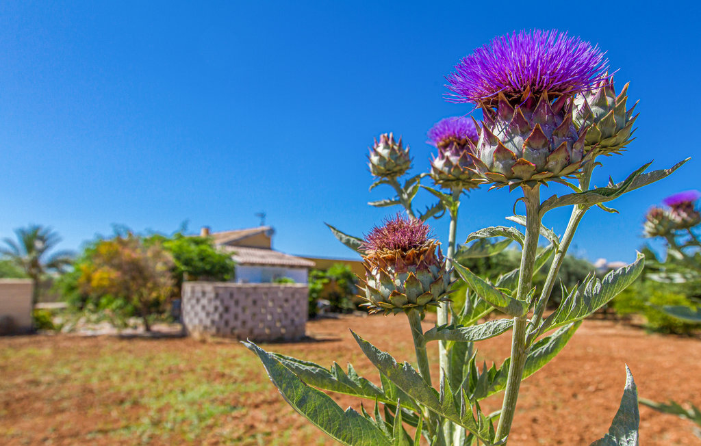 Maison 8 personnes à Denia - Photo 16