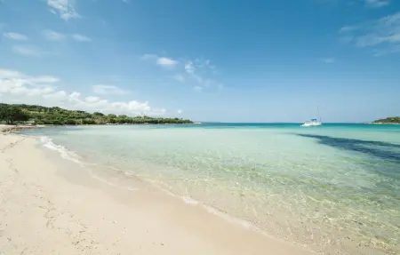 Azzurra, appartement panoramique Porto Rotondo : photo 4