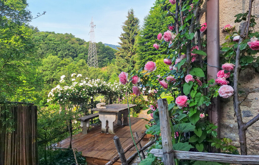 Cottage Ginestre, maison pierre XVIIIe sur la Via Francigena - Photo 14