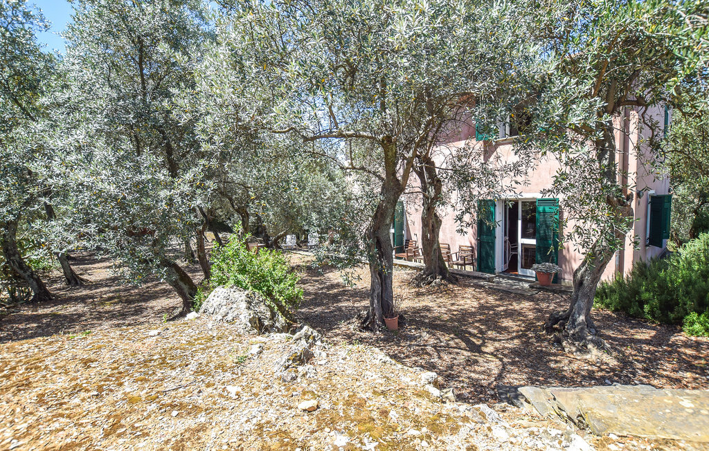 Villa Rosa, ferme ligurienne du XVIIIème siècle face à la mer - Photo 10