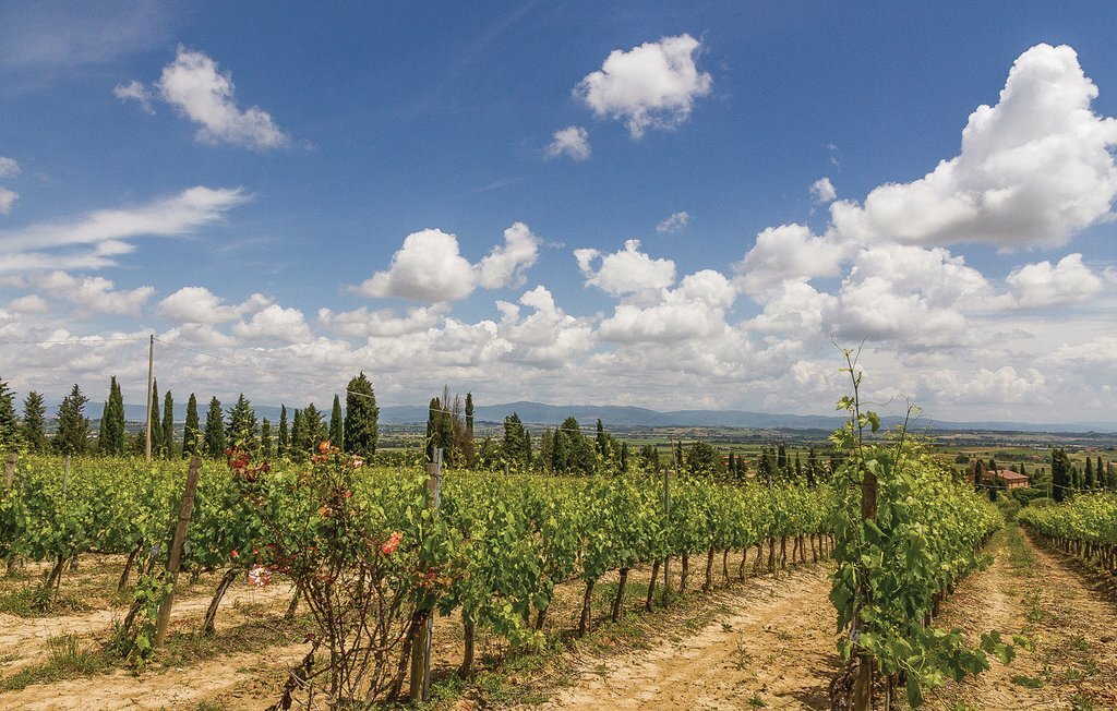 Sangiovese 4 - Appartement Chianti avec piscine - Photo 5