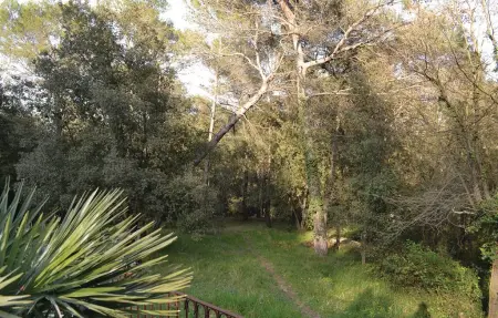 Maison 6 personnes à La Roquette sur Siagne - Photo 16