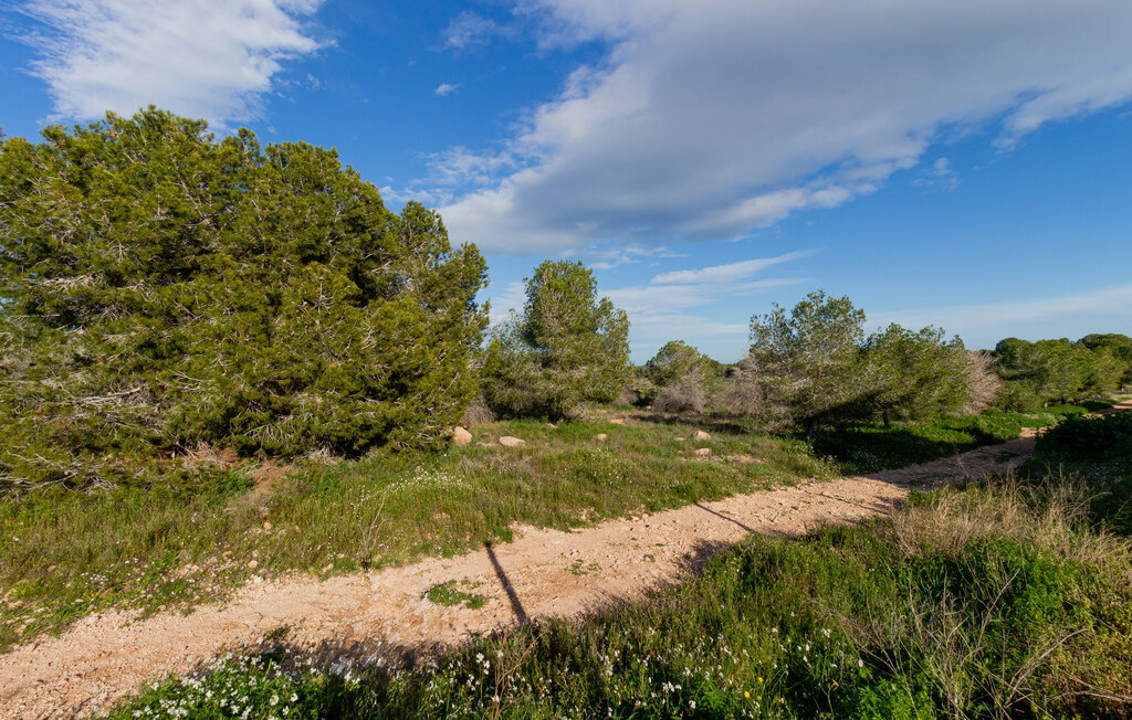 Appartement 4 personnes à Torrevieja - Photo 22