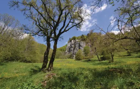 Ca' del Ducci, tour médiévale avec piscine : photo 29