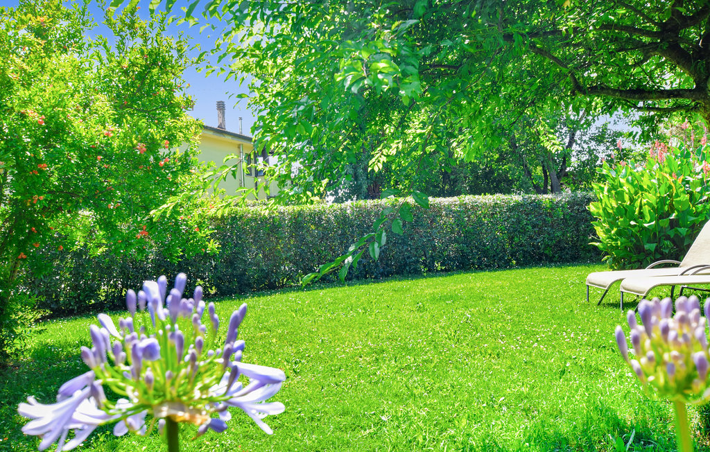 Il Kiwi : maisonnette avec jardin et piscine à Fornacette - Photo 18