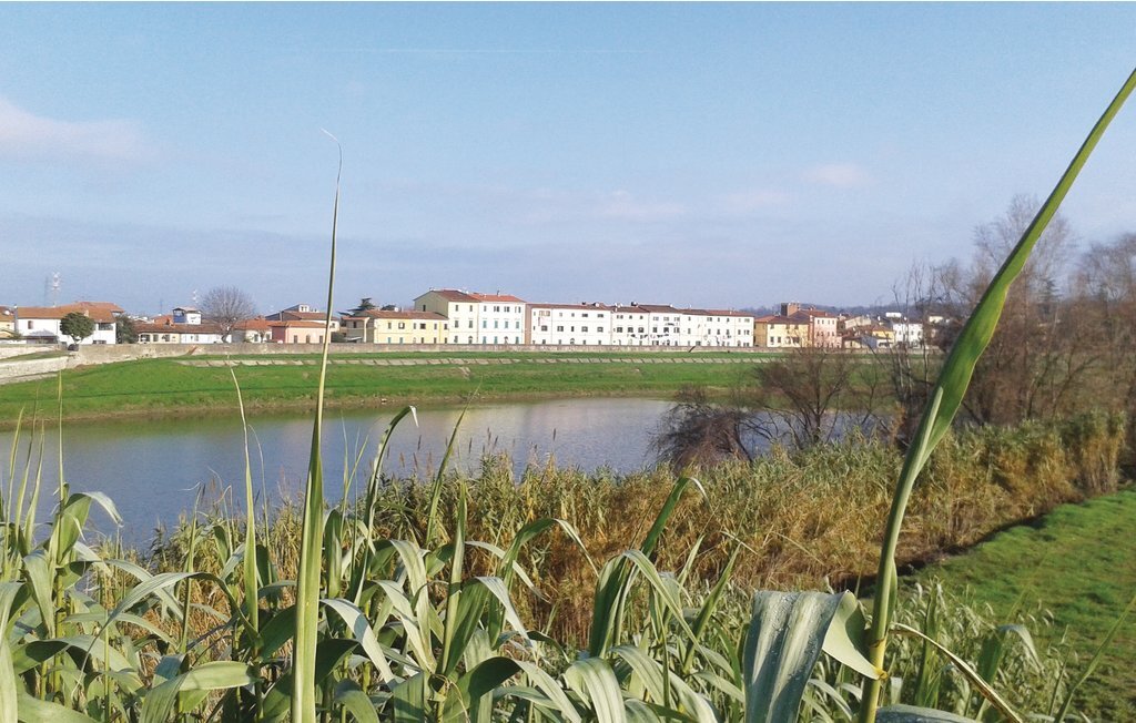 Il Kiwi : maisonnette avec jardin et piscine à Fornacette - Photo 28