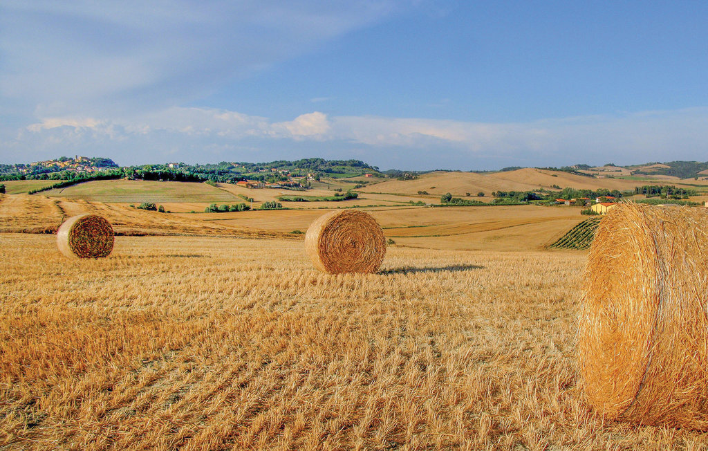 Casale La Torretta, maison avec tour en pierre à Pistoia - Photo 6