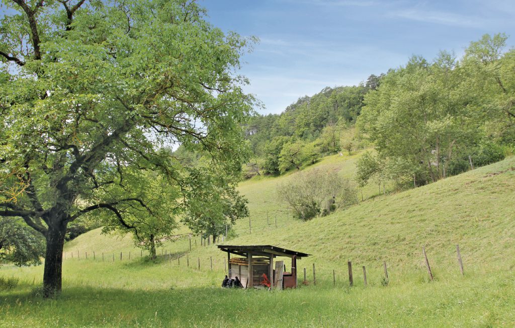 Gîte du Jocou : maison Vercors avec rivière - Photo 3