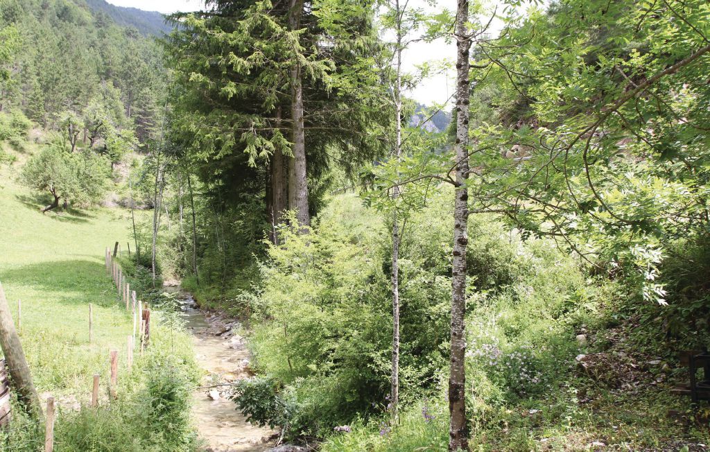 Gîte du Jocou : maison Vercors avec rivière - Photo 14