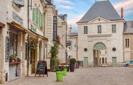 Maison en pierre près de l'Abbaye Royale de Fontevraud : photo 12