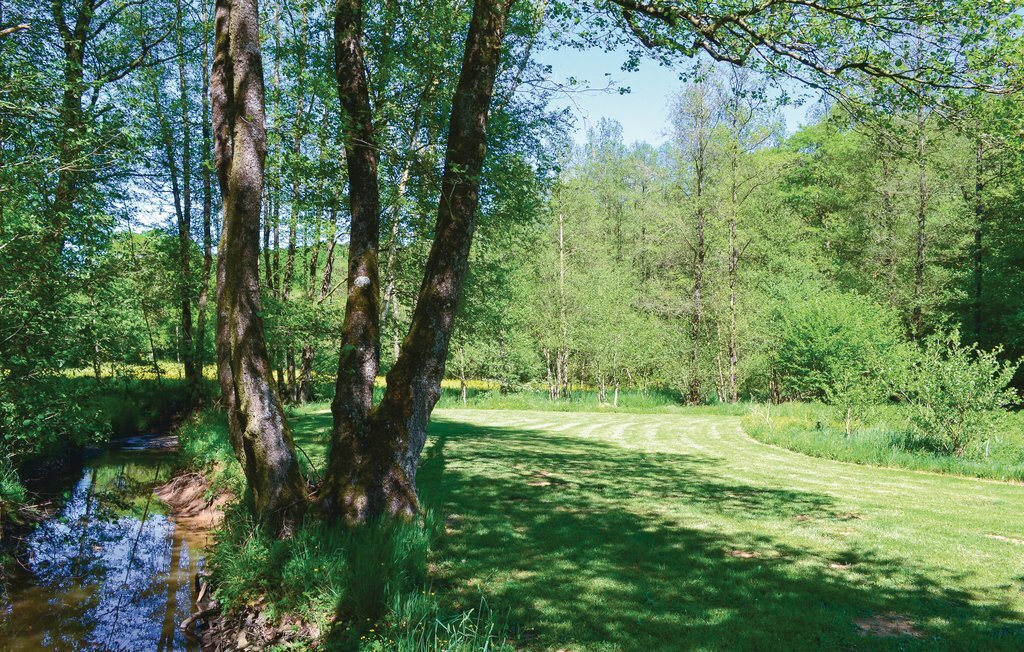 Maison Thanville : 15 000 m² avec ruisseau à Pondrôme - Photo 5