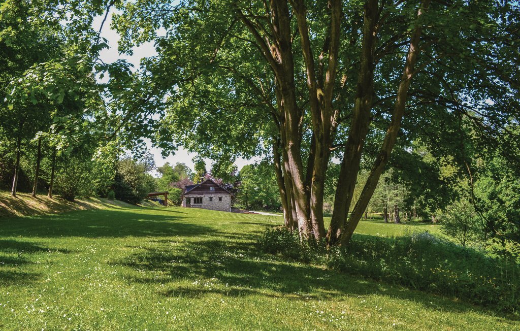 Maison Thanville : 15 000 m² avec ruisseau à Pondrôme - Photo 7