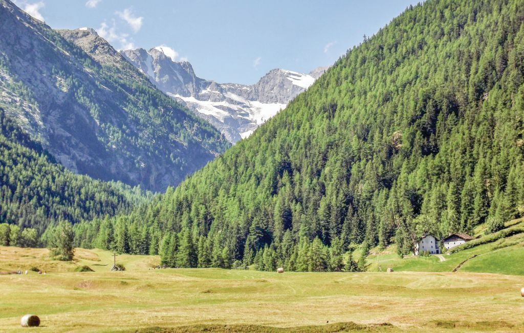 Casa Tzezerea – Appartement Cogne, vue vallée et forêt - Photo 25