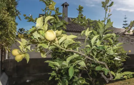 Roc de San Gaietà, Maison 8 personnes à Roda de Berà - Photo 25