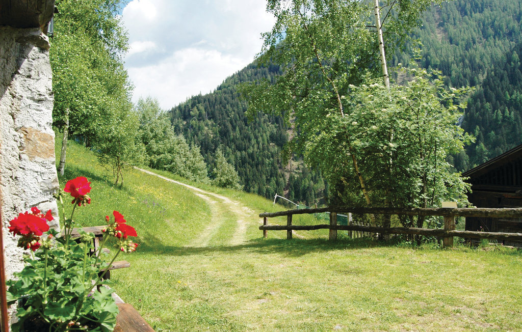 Mas Roncal 5 – Maison en pierre au cœur du parc du Stelvio - Photo 6