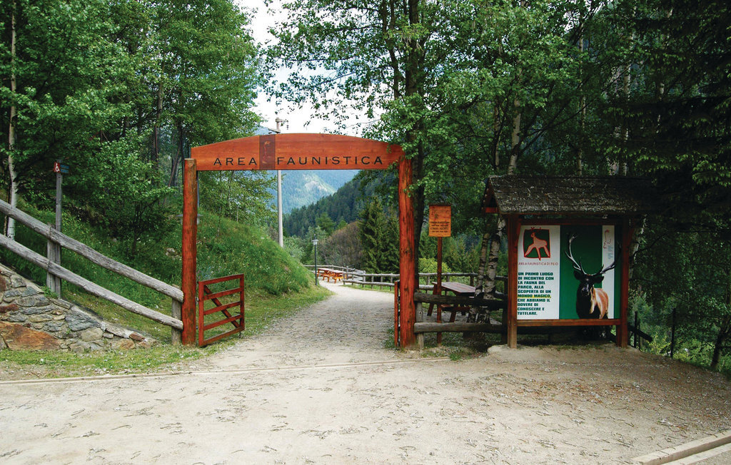 Mas Roncal 5 – Maison en pierre au cœur du parc du Stelvio - Photo 17
