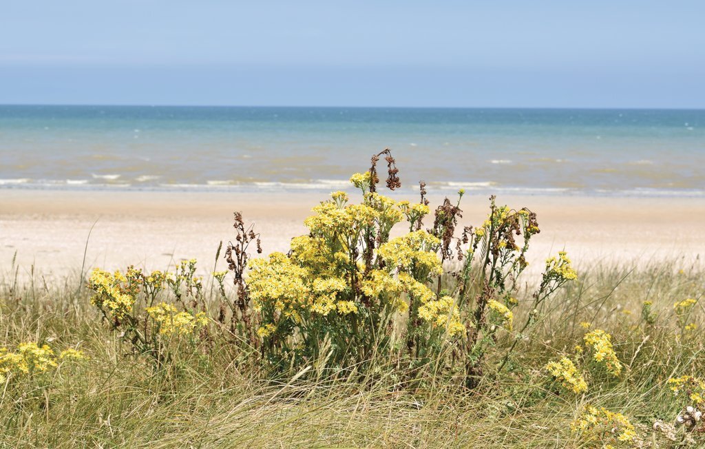 Maison 80 m² à 120 m de la plage de Quinéville - Photo 20