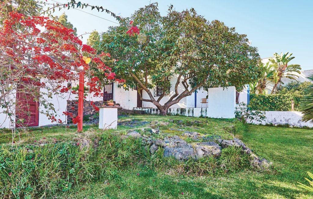 Casa Los Pinos, Maison 2 personnes à Icod de los Vinos - Photo 5