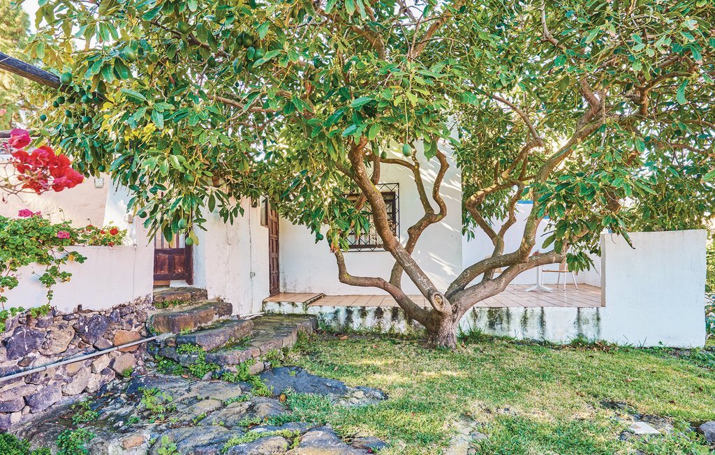 Casa Los Pinos, Maison 2 personnes à Icod de los Vinos - Photo 10