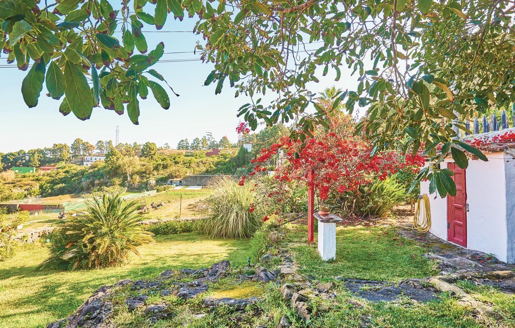 Casa Los Pinos, Maison 2 personnes à Icod de los Vinos - Photo 11