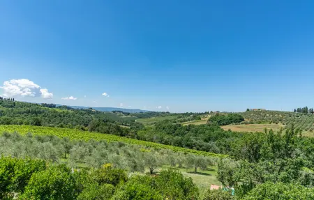 Certinuzza, ancienne grange avec piscine panoramique à Montespertoli : photo 29