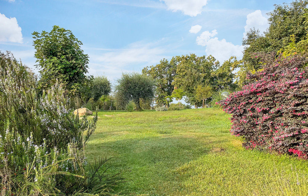 Appartement Nocciolo – Piscine et nature en Tuscie - Photo 10