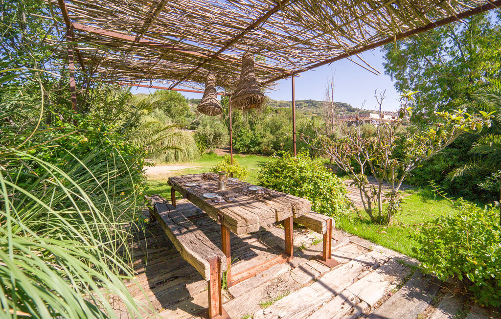 Cerasuola, maison bio en domaine oléicole - Photo 3